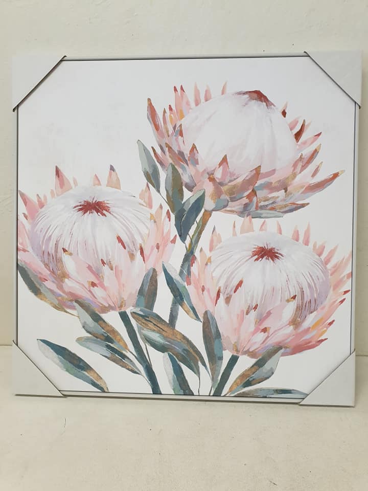 Large protea