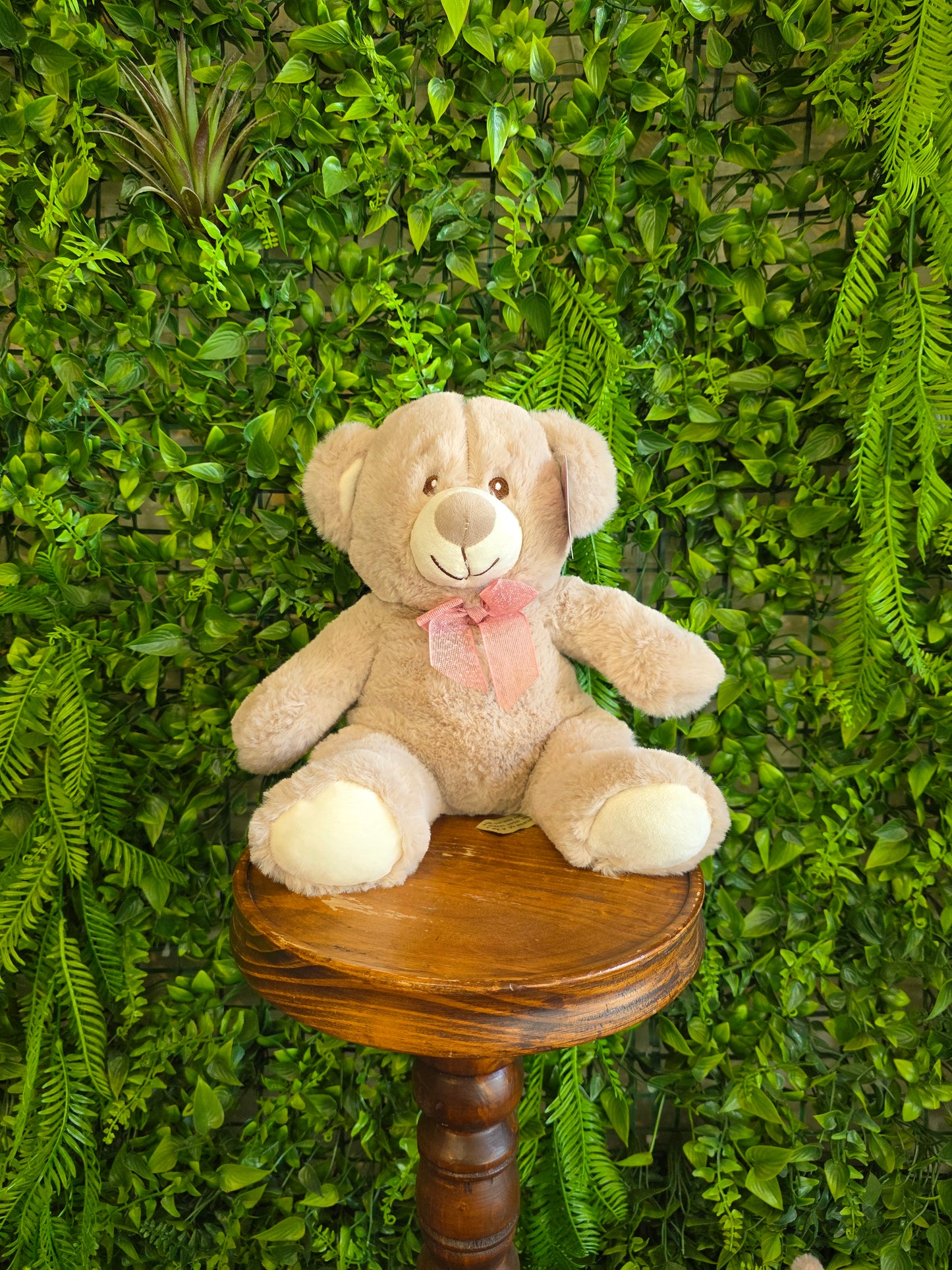 Teddy Bear Plush